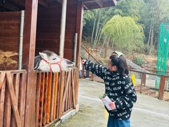 -杭州开元森泊度假乐园