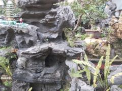 -桂林市花鸟市场