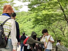-皇藏峪国家森林公园