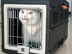 -宠颐生中康贝怡动物医院