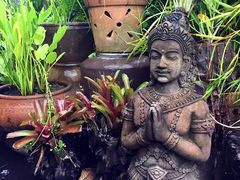 -自然餐厅(Phuket)