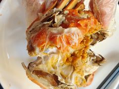 -蟹村草堂·苏式园林人文农家·大闸蟹