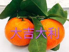 -百果园(金沙路店)