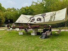 -上海崇明金茂凯悦酒店