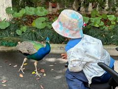 -金庭庄园酒店-停车场