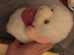 PONY(高岛屋店)-PONY博尼工房(高岛屋店)