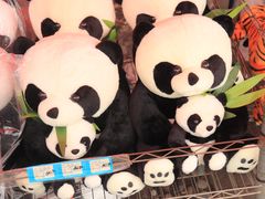 -石家庄市动物园