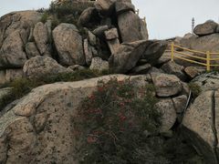 -崂山巨峰游览区