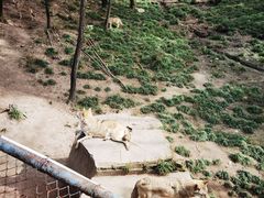 -哈尔滨北方森林动物园