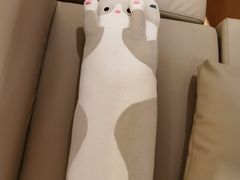 -猫腻·猫咖·撸猫馆(星光大道店)