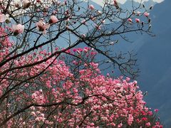 -九皇山景区