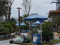 -喷泉广场餐厅·宵夜·海鲜烧烤大排档(长隆企鹅酒店)