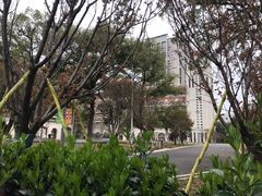 -长沙市青少年宫