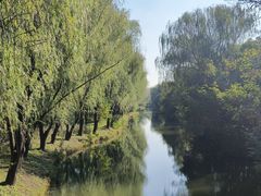 -溱湖国家湿地公园