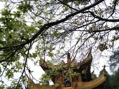 -峨眉山报国寺