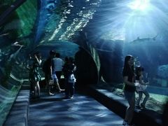 -暹罗海洋世界