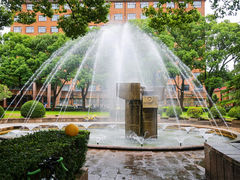 -上海财经大学(国定路校区)