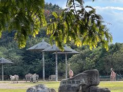 -宁波野生动物园