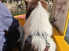 -泰州凤城河风景区-泰山公园