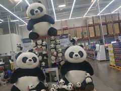 -山姆会员商店(杨桥西路店)
