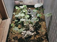 -邈墨茶馆(凤起路店)