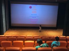 -华美国际影城(旧宫永辉店)
