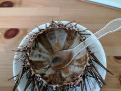 -海胆小馆(东北水饺·春柳店)