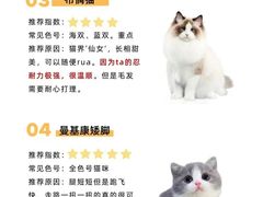 -纳吉亚猫专科动物医院博雅分院