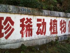 -周洛大峡谷