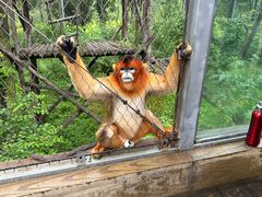 -哈尔滨北方森林动物园