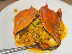 -连鹭海鲜·海肠捞饭·海胆饭(星海店)