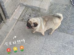 -浏河古镇