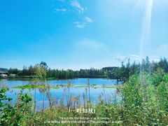 -白鹭湾湿地公园