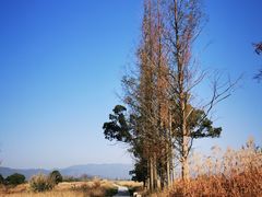 -良渚古城遗址公园