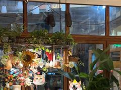 -阳光家常菜(泉乐坊店)