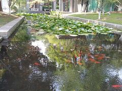 -南通濠河风景名胜区