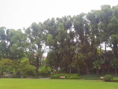 -申粤轩酒楼·三十年粤菜经典(丁香花园店)