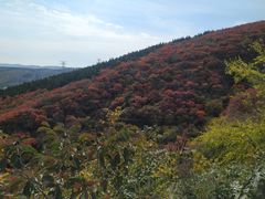 -博山九龙峪风景区
