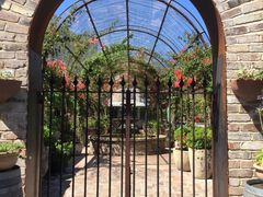 -The Grounds of Alexandria