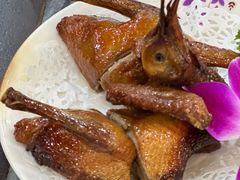 -鸽鸟轩(石岐店)