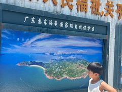 -广东惠东海龟国家级自然保护区