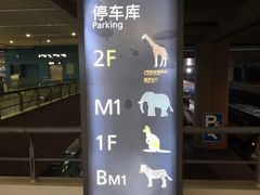 -虹桥综合交通枢纽-P6停车库