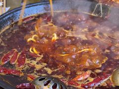 -黄潇洒老火锅(九眼桥宏济巷店)