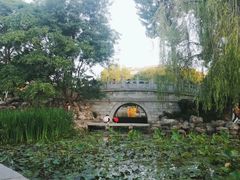 -莲湖公园