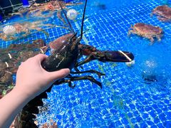 -巧克力渔家.小船海鲜胶东菜(万平口店)