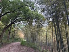 -杭州半山国家森林公园