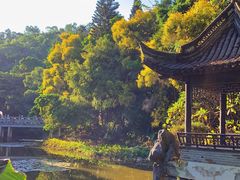 -深圳国际园林花卉博览园