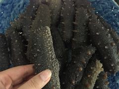 -浩运·海鲜青岛菜·海胆水饺(石老人店)