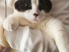 -鹿港小镇(金虹桥国际中心店)