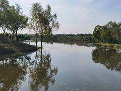 -东郊湿地公园